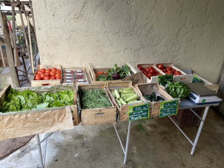 C’est parti à la ferme D’ alzetta les campeurs et autres passants peuvent acheter notre production tous les soirs de 18 à 20h sauf le dimanche à bientôt , Porto-Vecchio, La Ferme d'Alzetta