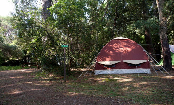 Emplacement de camping, Porto-Vecchio, La Ferme d'Alzetta