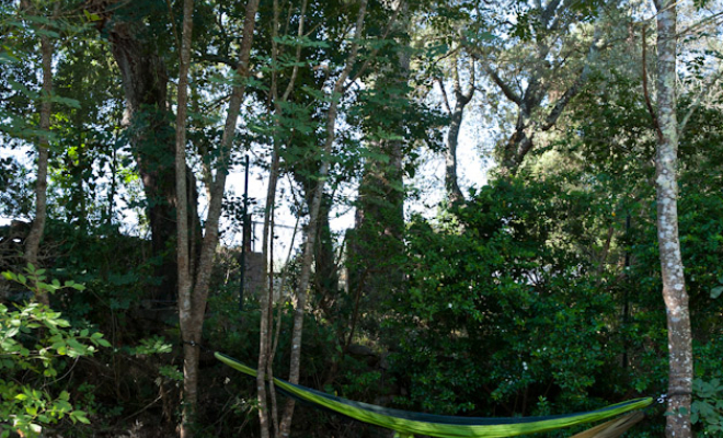 Emplacement de camping, Porto-Vecchio, La Ferme d'Alzetta