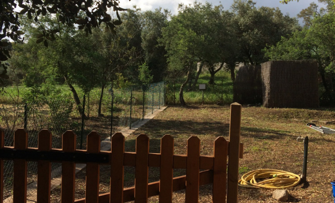 Location de gîtes, Porto-Vecchio, La Ferme d'Alzetta