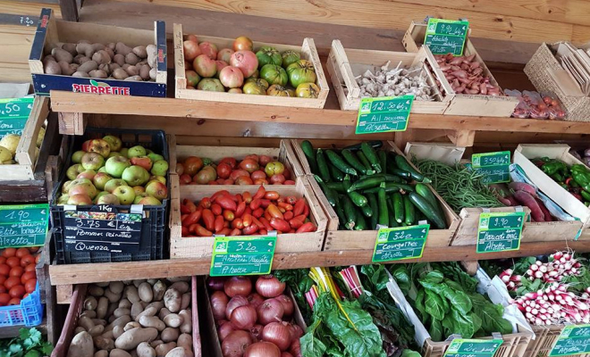 Nos légumes bio, Porto-Vecchio, La Ferme d'Alzetta