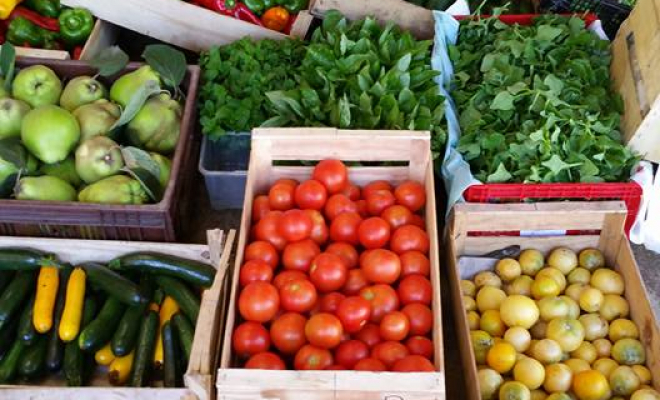 Production de légumes bio, Porto-Vecchio, La Ferme d'Alzetta